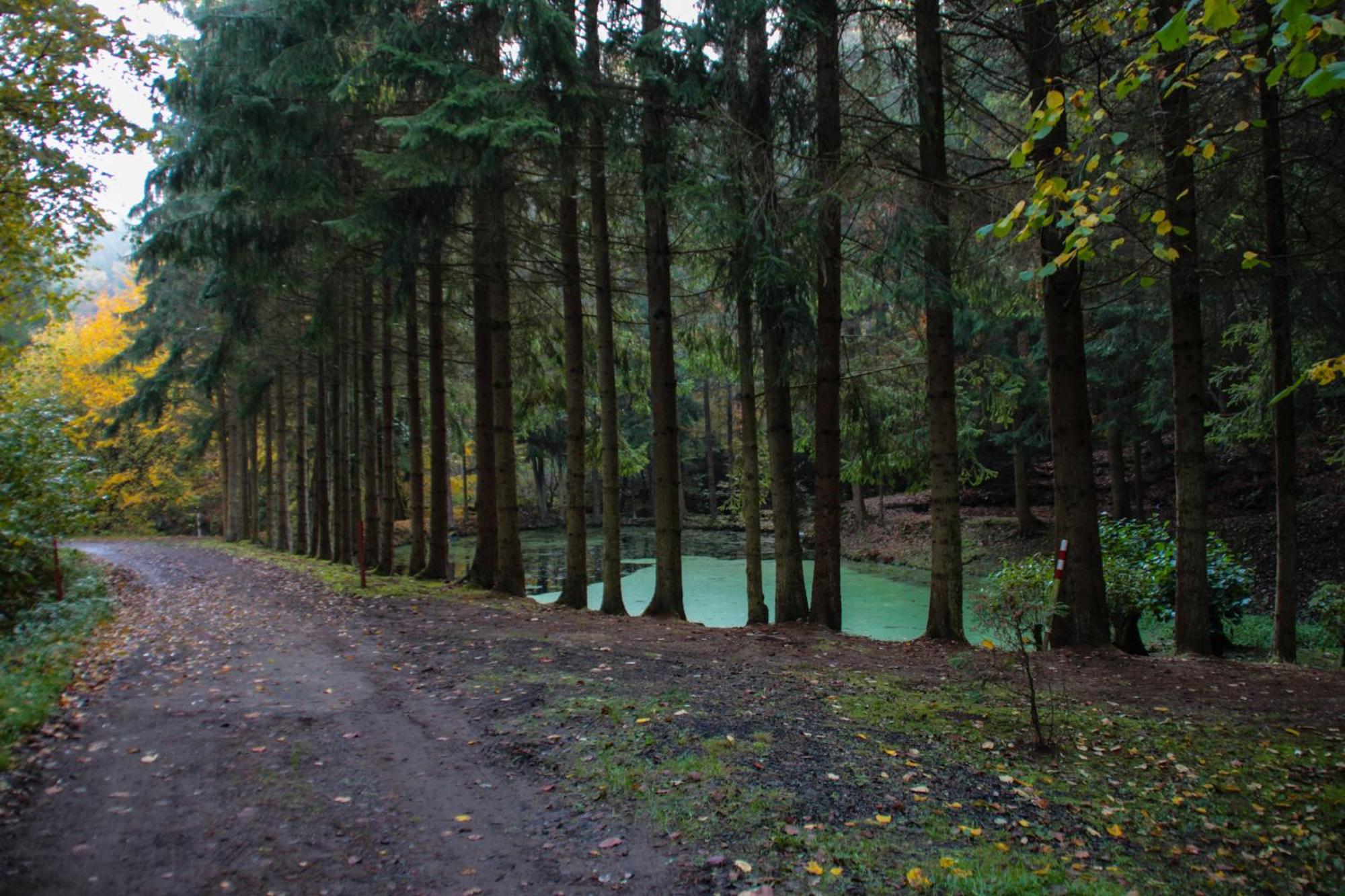 Fh "Baeren Ecke" Am See Im Hessischen Bergland Kirchheim  Esterno foto