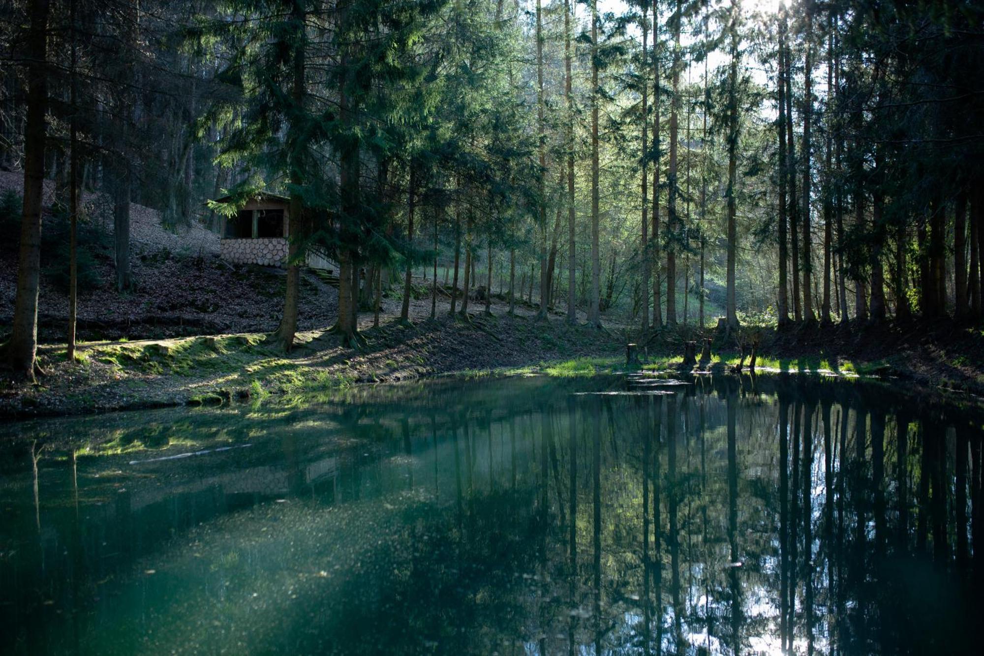 Fh "Baeren Ecke" Am See Im Hessischen Bergland Kirchheim  Esterno foto